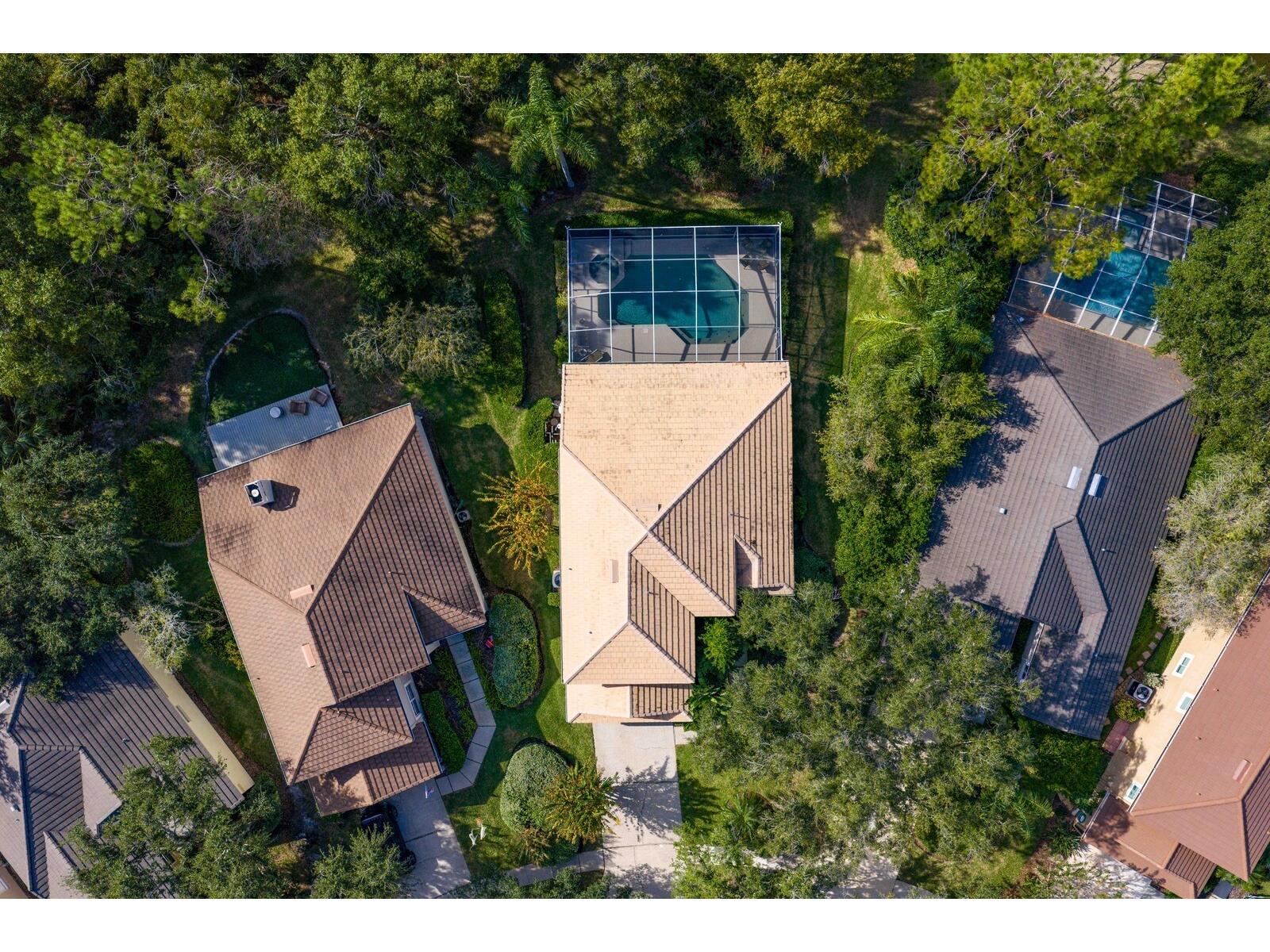 17716 Nathans Drive Tampa FL 33647 TB8459078 image59