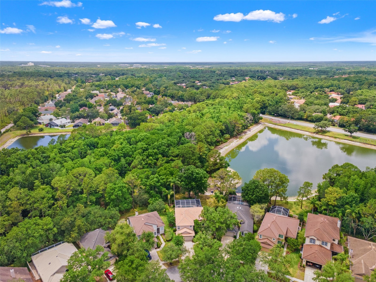17716 Nathans Drive Tampa FL 33647 TB8459078 image61