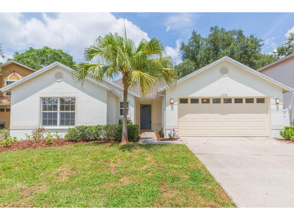 17718 Esprit Drive Tampa FL 33647 U8254355 image1