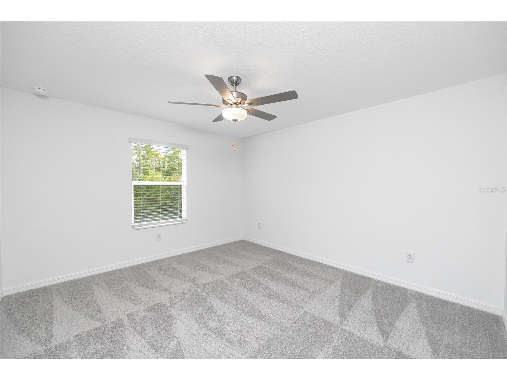 17718 Nectar Flume Drive Land O Lakes FL 34638 TB8514811 image28