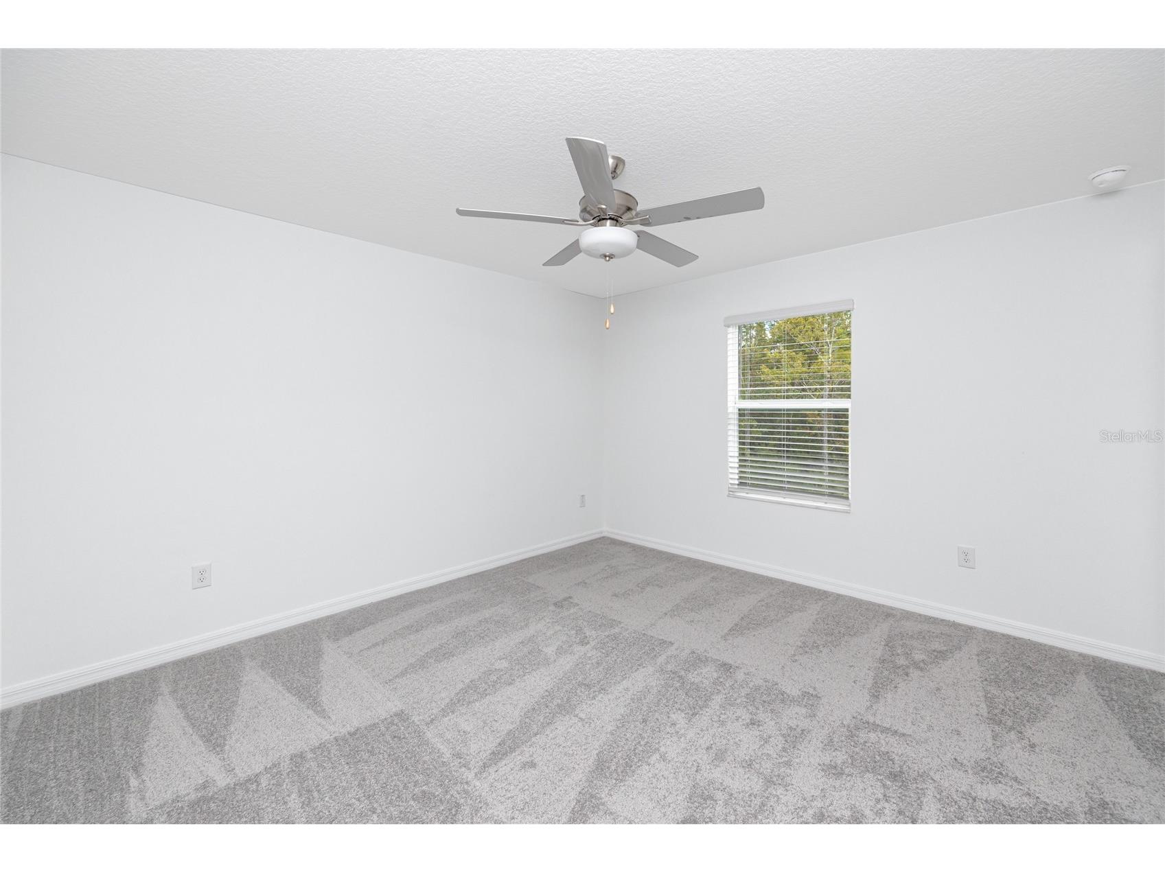 17718 Nectar Flume Drive Land O Lakes FL 34638 TB8514811 image30