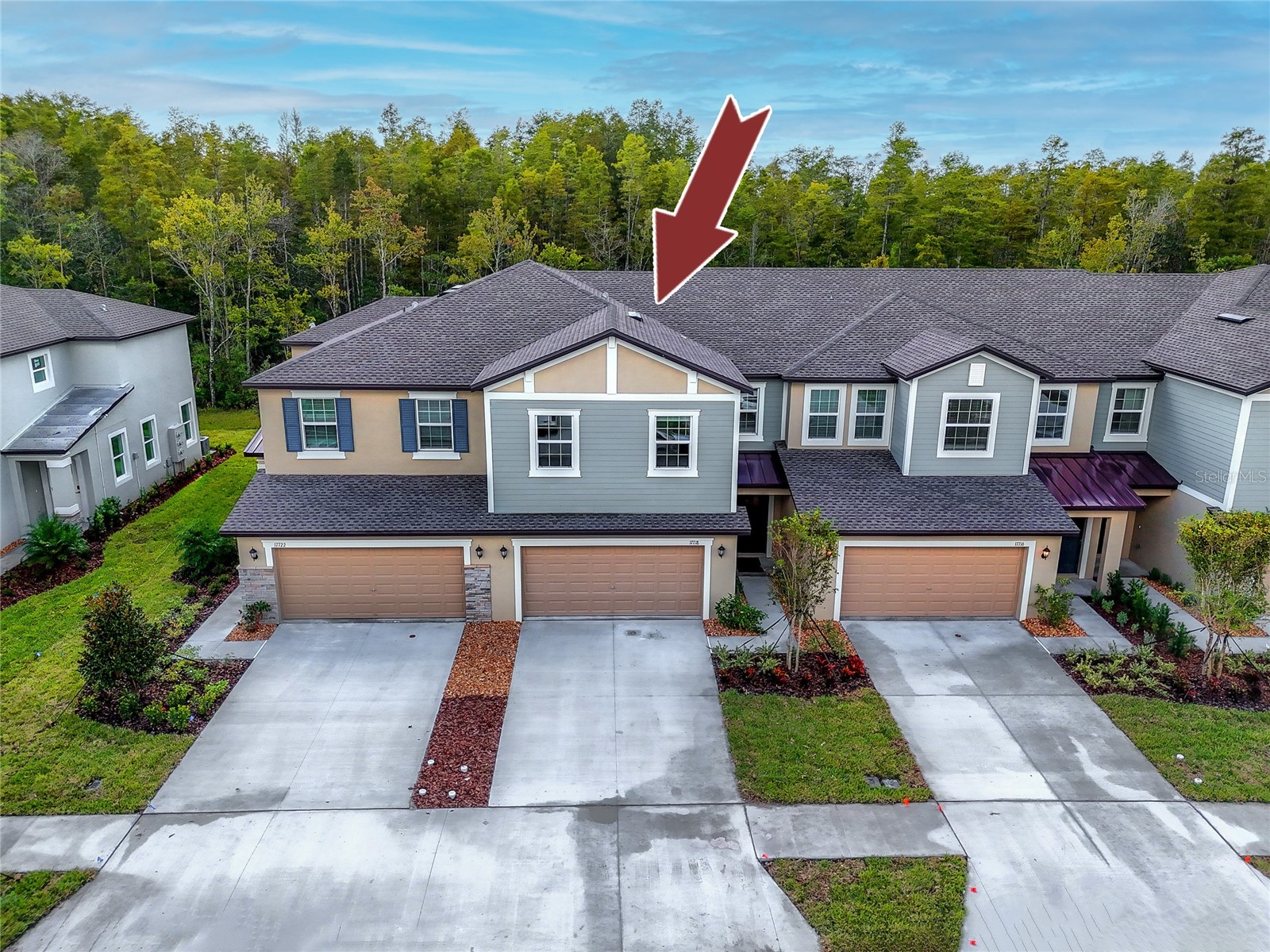 17718 Nectar Flume Drive Land O Lakes FL 34638 TB8514811 image45