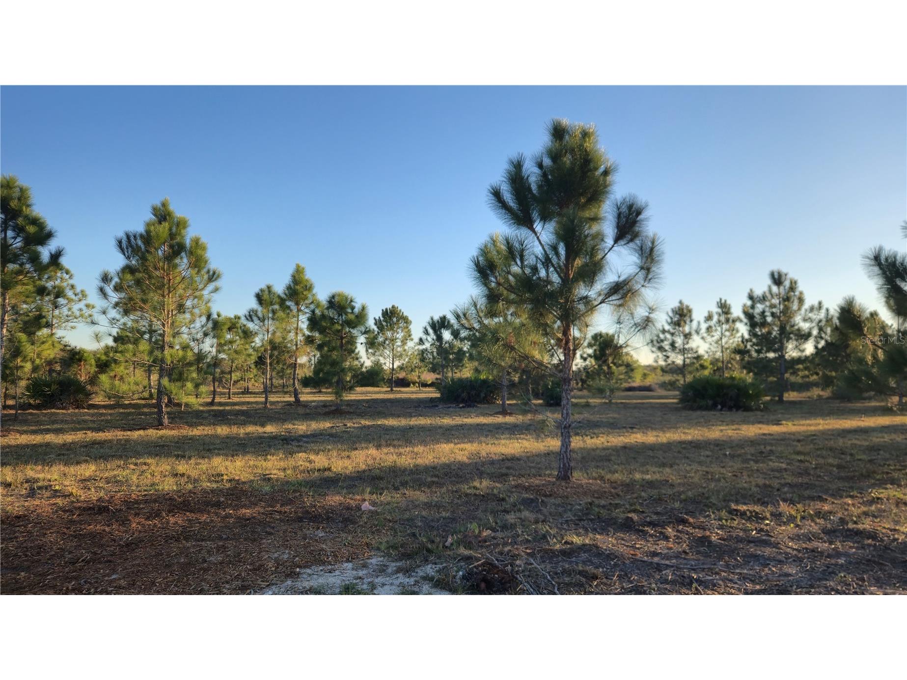 17718 NW 266th Street Okeechobee FL 34972 TB8508065 image12