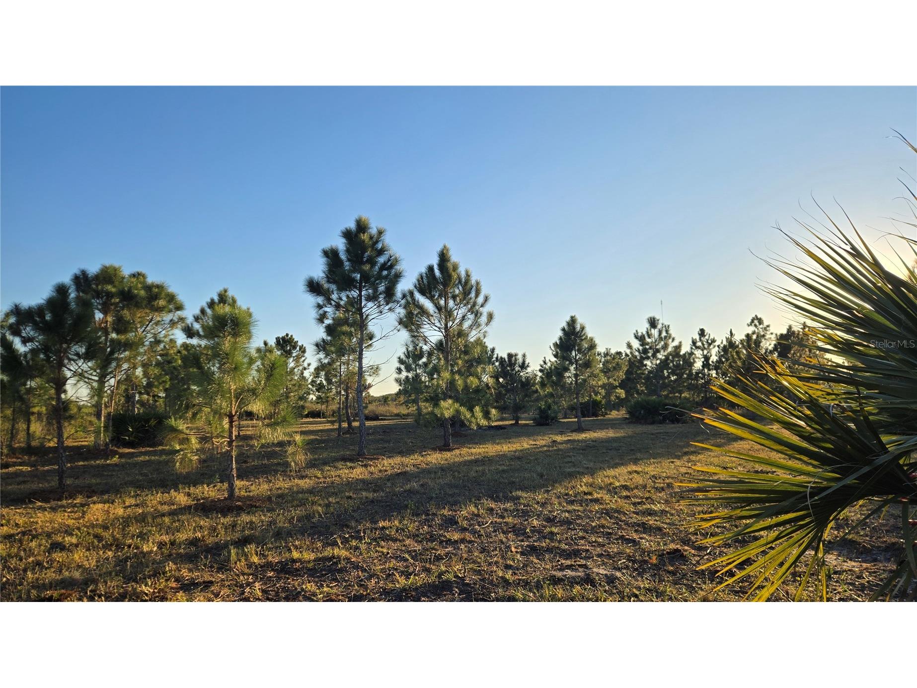 17718 NW 266th Street Okeechobee FL 34972 TB8508065 image2