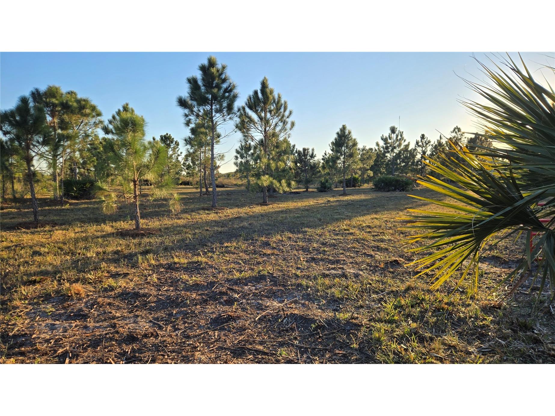 17718 NW 266th Street Okeechobee FL 34972 TB8508065 image3