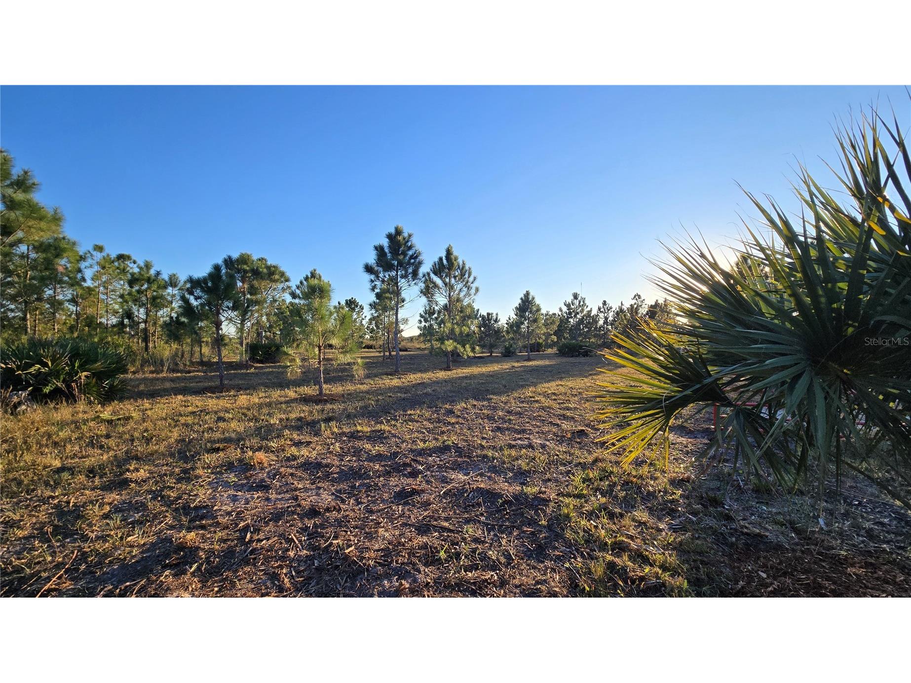 17718 NW 266th Street Okeechobee FL 34972 TB8508065 image4