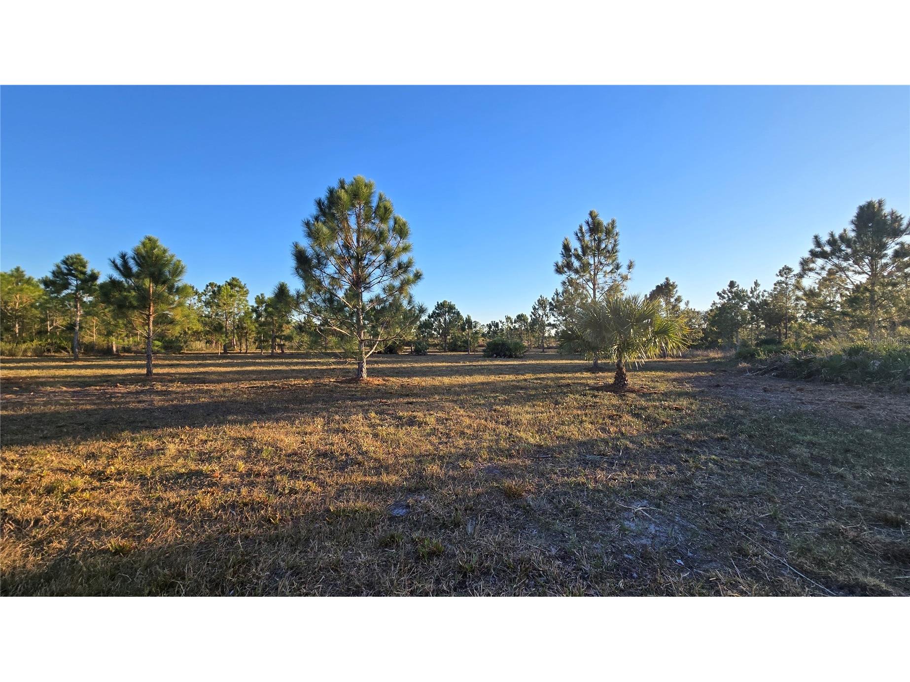 17718 NW 266th Street Okeechobee FL 34972 TB8508065 image6
