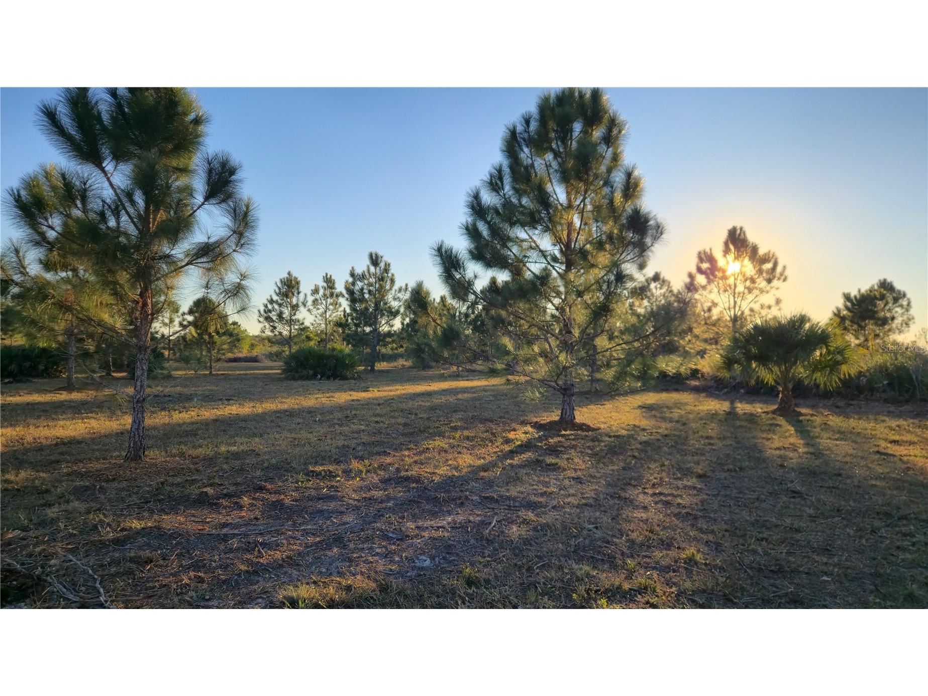 17718 NW 266th Street Okeechobee FL 34972 TB8508065 image7