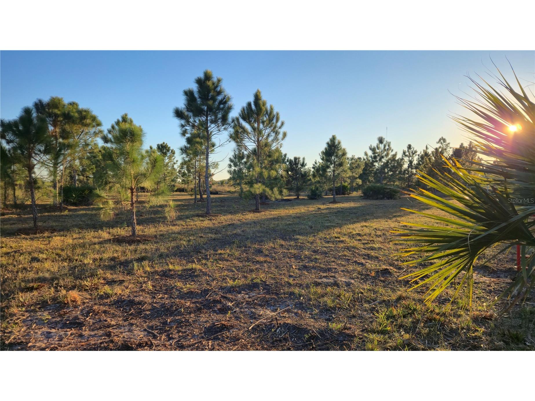 17718 NW 266th Street Okeechobee FL 34972 TB8508065 image8