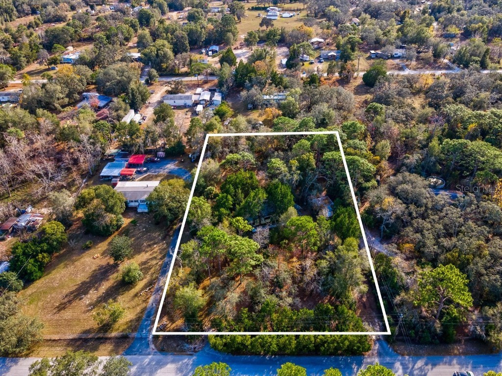 17718 Rockledge Avenue Spring Hill FL 34610 W7881533 image2