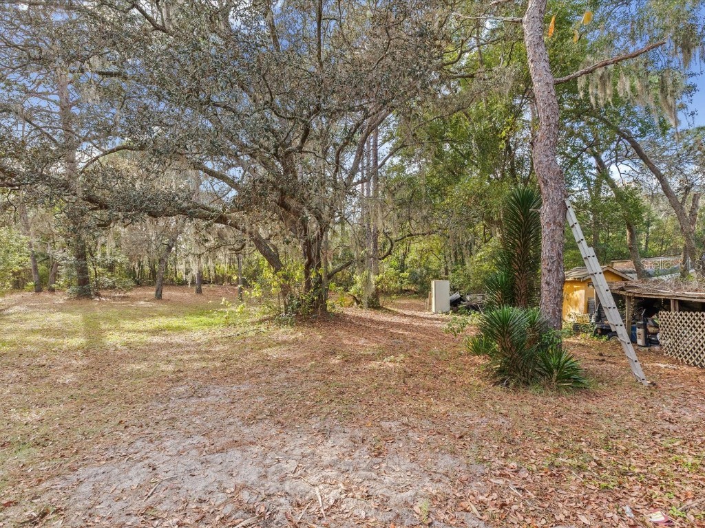 17718 Rockledge Avenue Spring Hill FL 34610 W7881533 image34