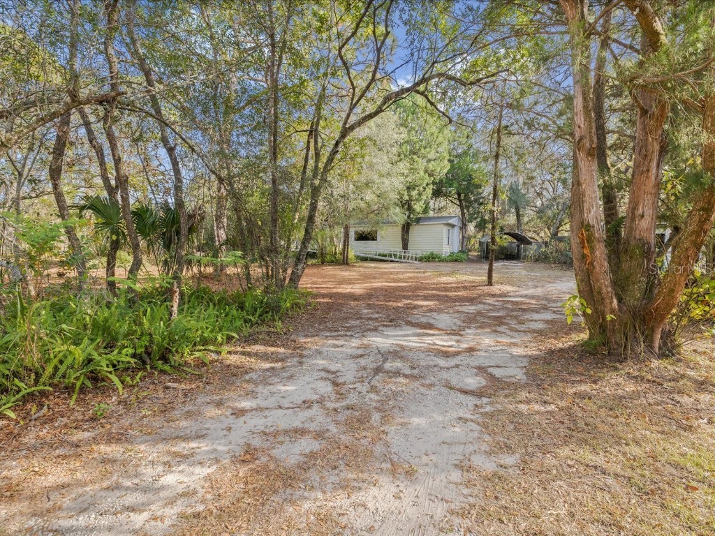 17718 Rockledge Avenue Spring Hill FL 34610 W7881533 image4