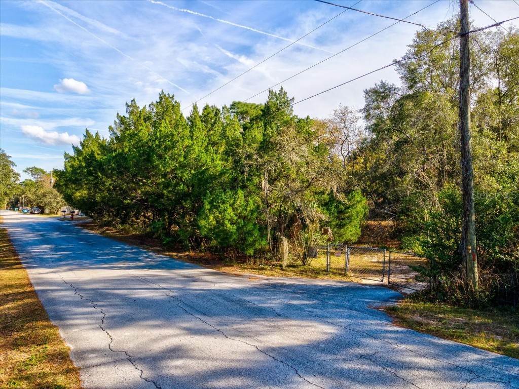 17718 Rockledge Avenue Spring Hill FL 34610 W7881533 image41