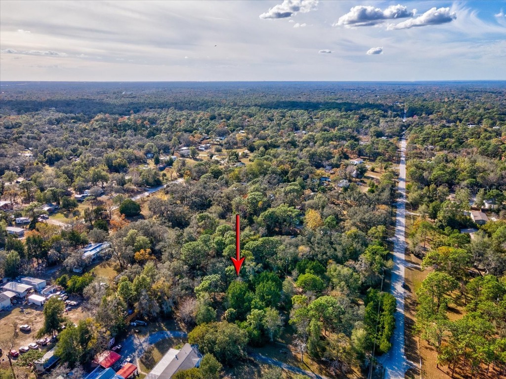 17718 Rockledge Avenue Spring Hill FL 34610 W7881533 image42