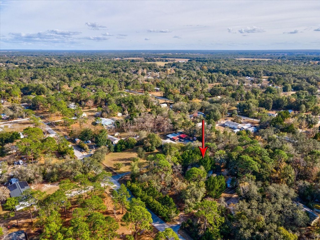 17718 Rockledge Avenue Spring Hill FL 34610 W7881533 image45