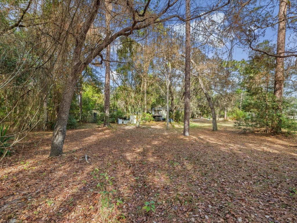 17718 Rockledge Avenue Spring Hill FL 34610 W7881533 image5