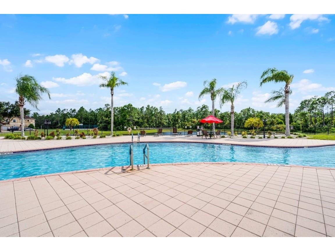 1772 Coriander Drive Kissimmee FL 34759 O6360808 image25