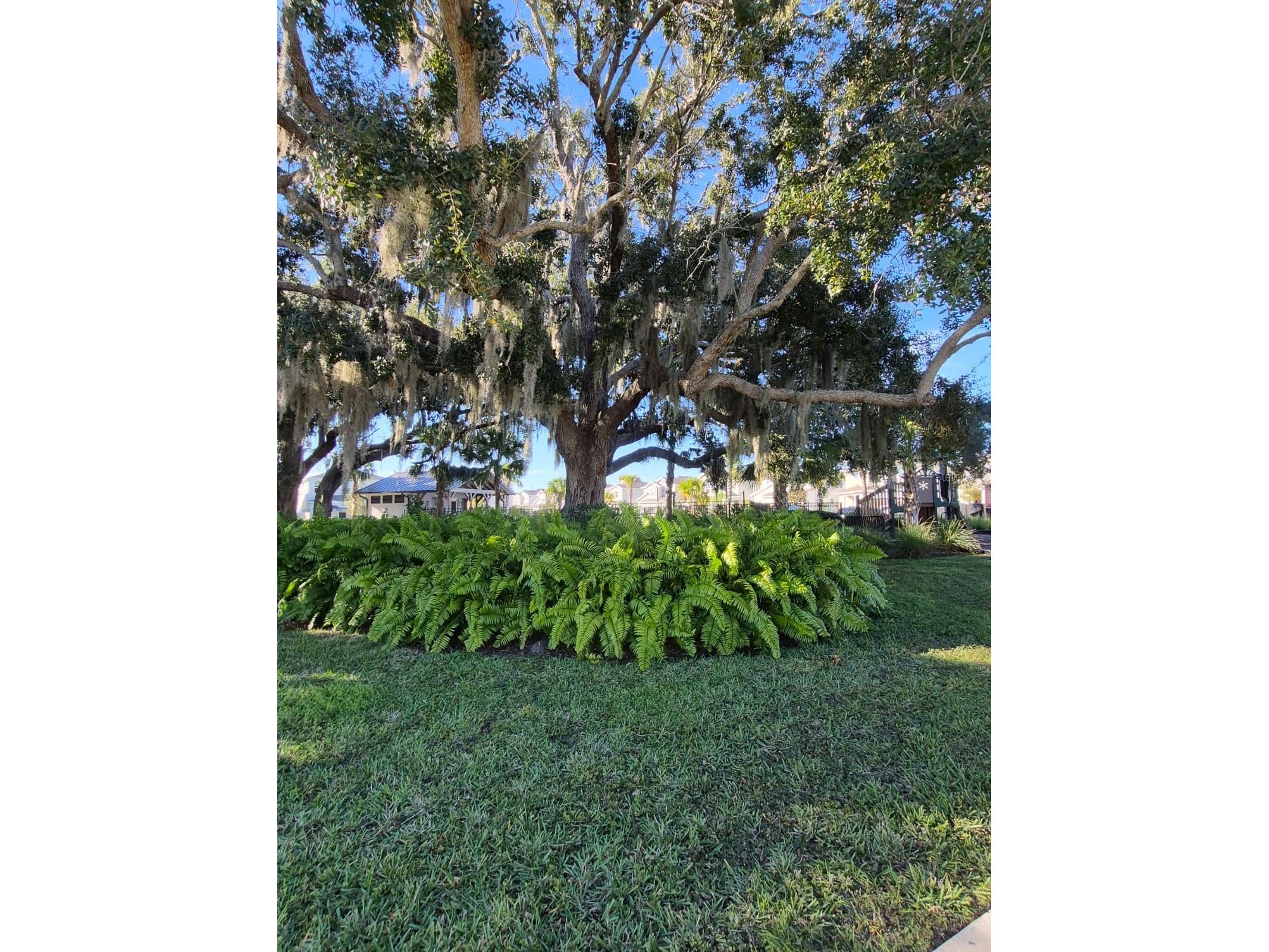 1772 Stamen Drive Kissimmee FL 34744 S5147865 image28