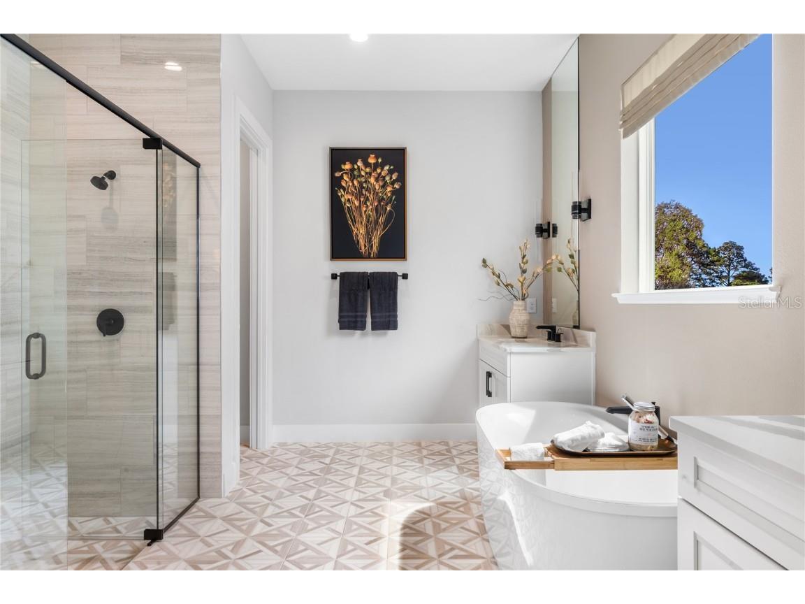 1772 Stonecliff Drive Apopka FL 32703 O6366820 image12