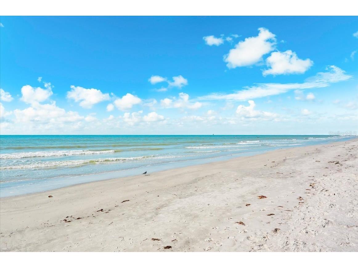 17720 Gulf Boulevard #A-803 Redington Shores FL 33708 TB8449223 image67