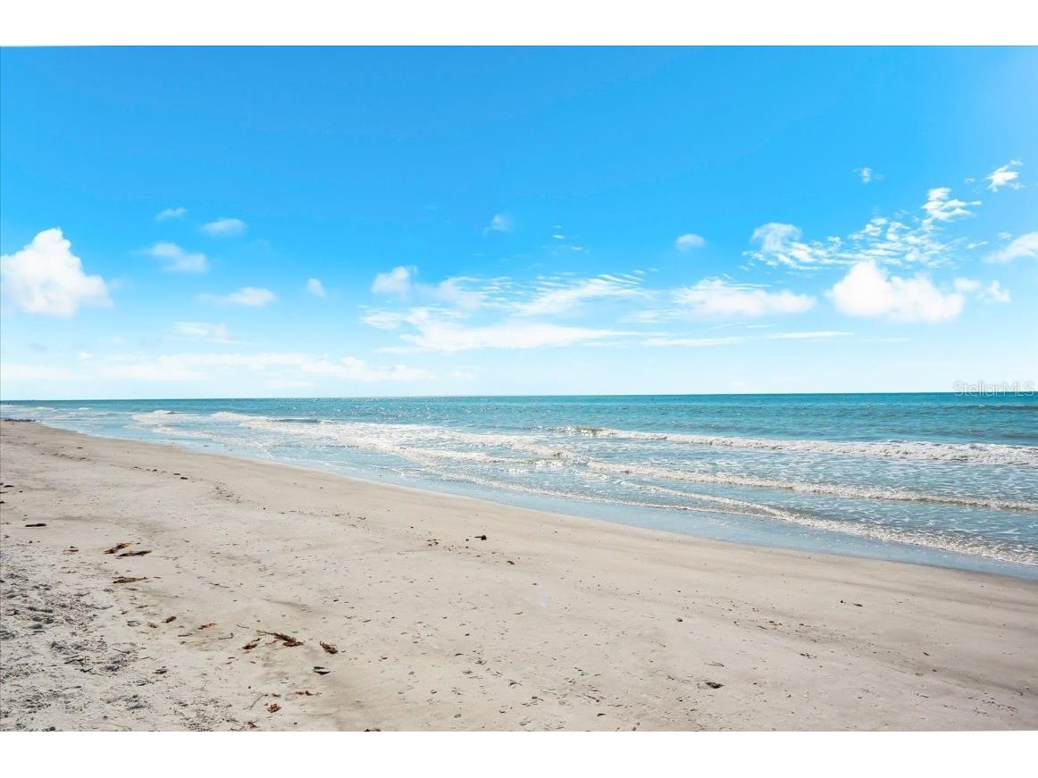 17720 Gulf Boulevard #A-803 Redington Shores FL 33708 TB8449223 image68