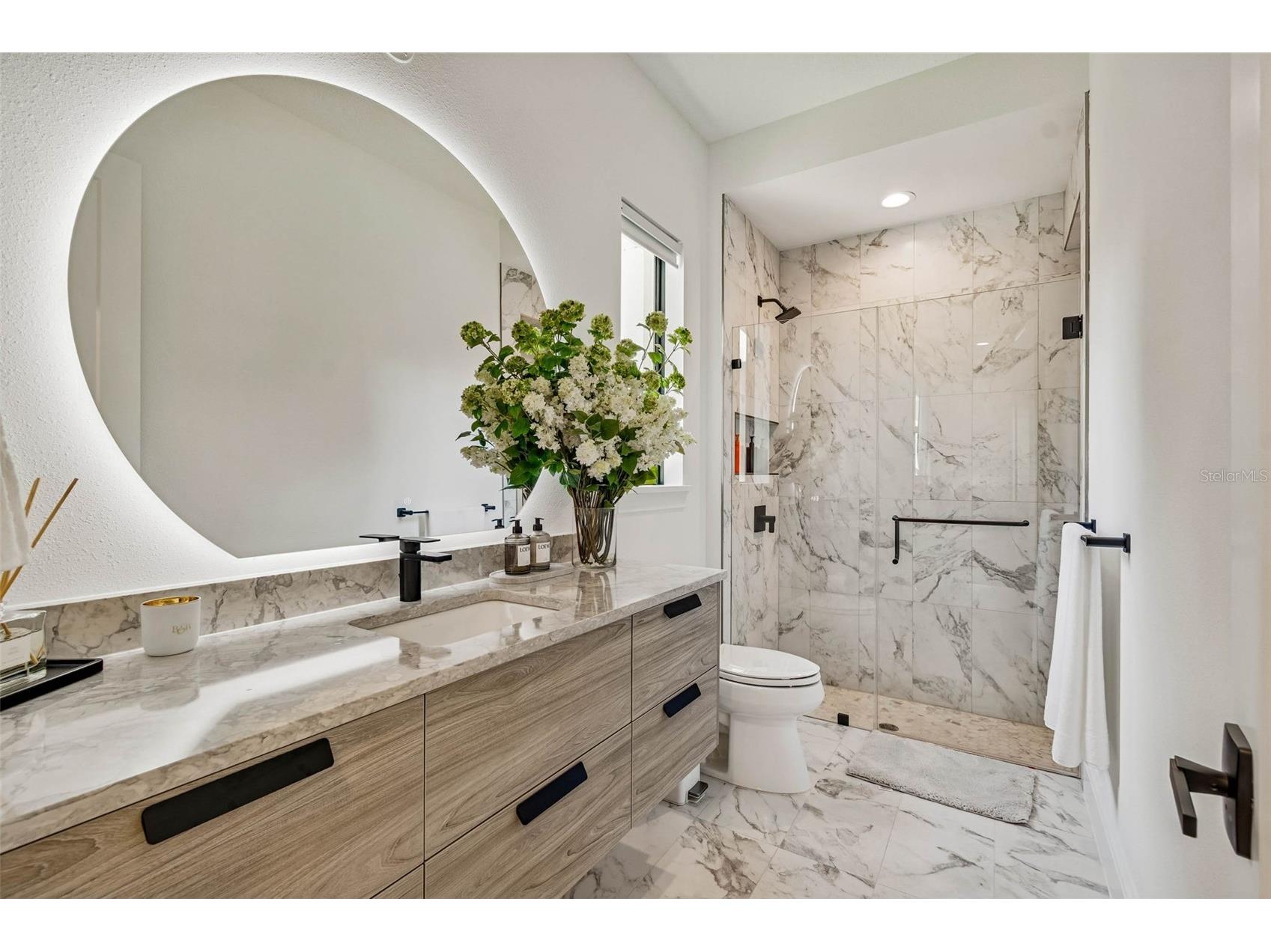 17720 Royal Eagle Lane Lutz FL 33549 TB8474620 image48