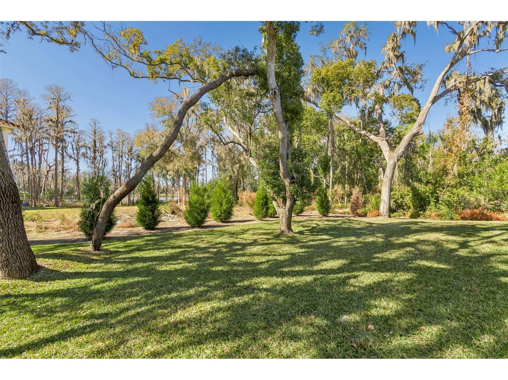 17720 Royal Eagle Lane Lutz FL 33549 TB8474620 image81