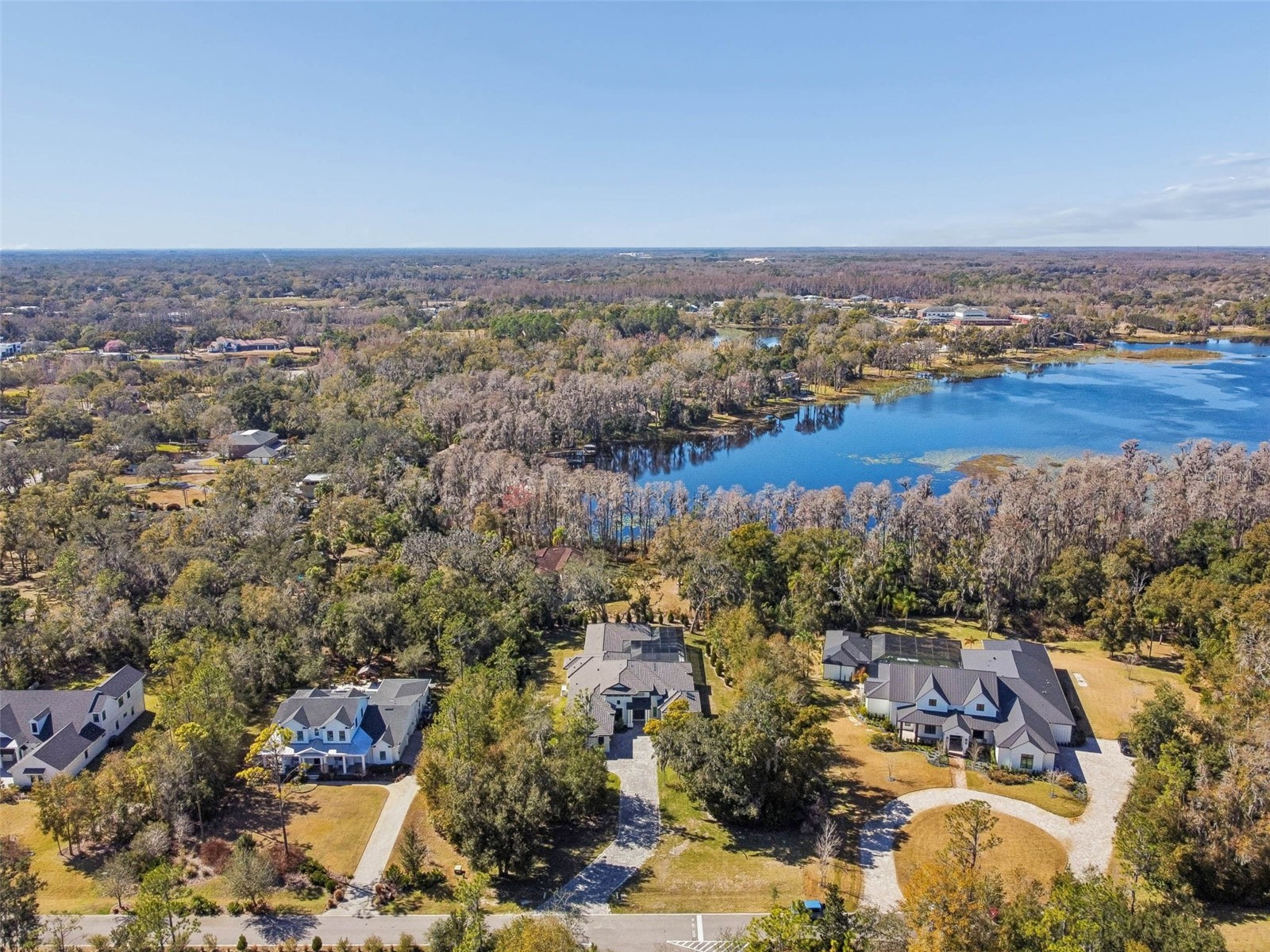 17720 Royal Eagle Lane Lutz FL 33549 TB8474620 image86