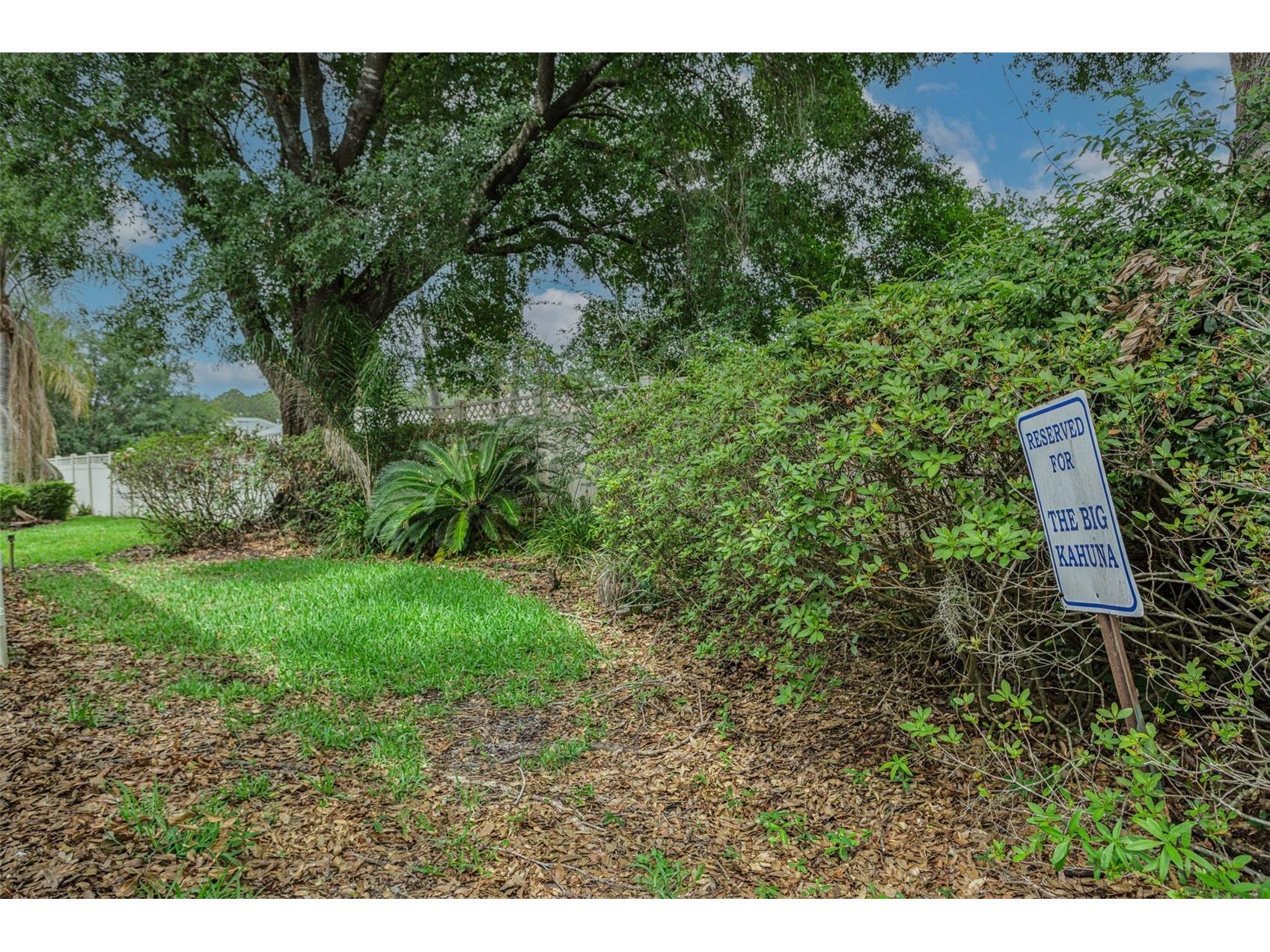 17721 Nathans Drive Tampa FL 33647 TB8514470 image33