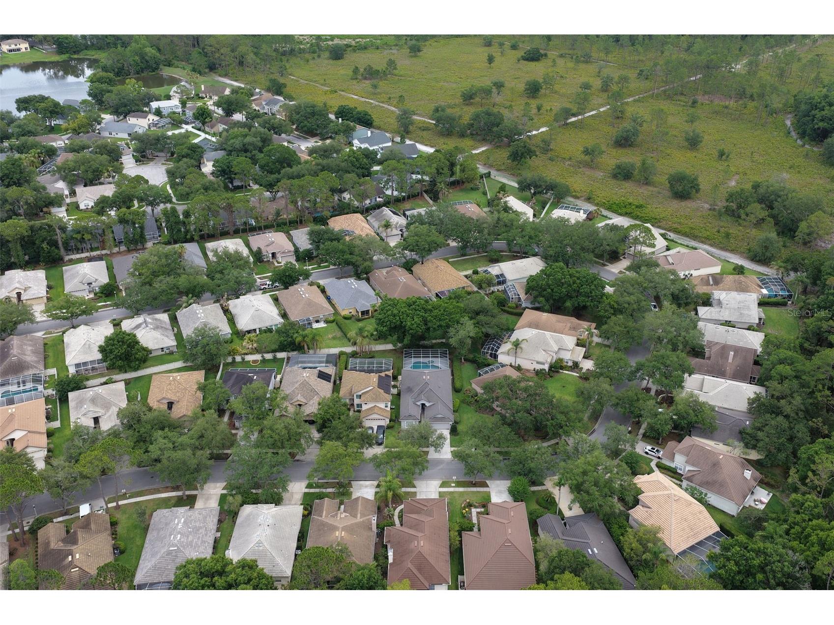 17721 Nathans Drive Tampa FL 33647 TB8514470 image35