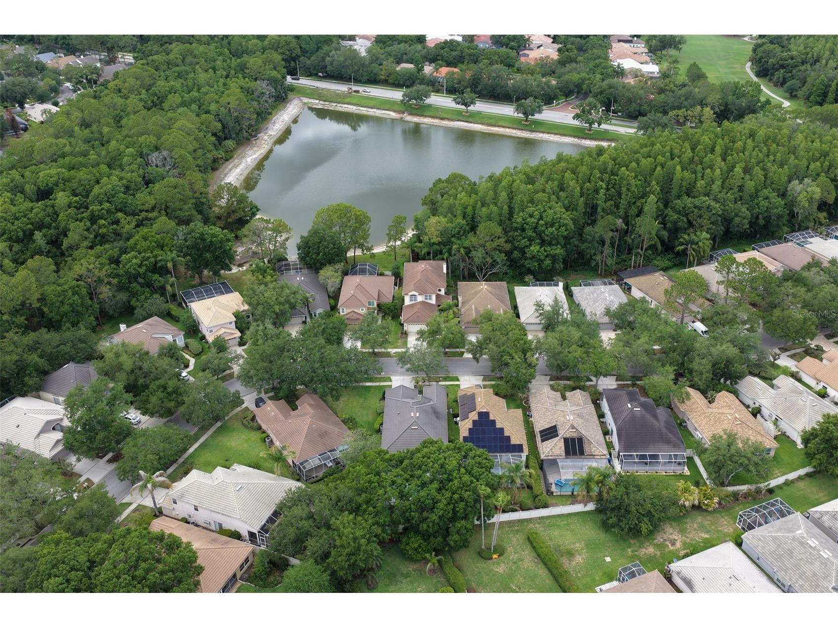 17721 Nathans Drive Tampa FL 33647 TB8514470 image36