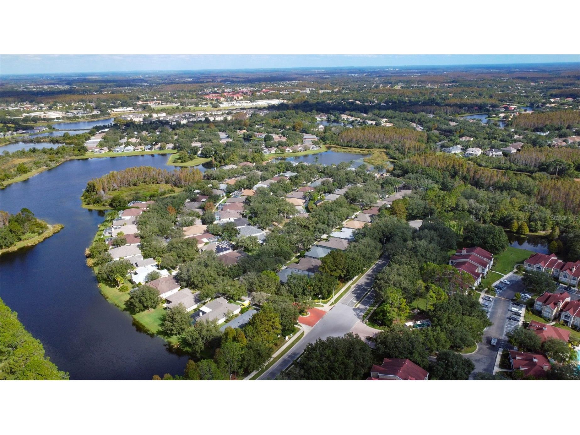 17721 Nathans Drive Tampa FL 33647 TB8514470 image37