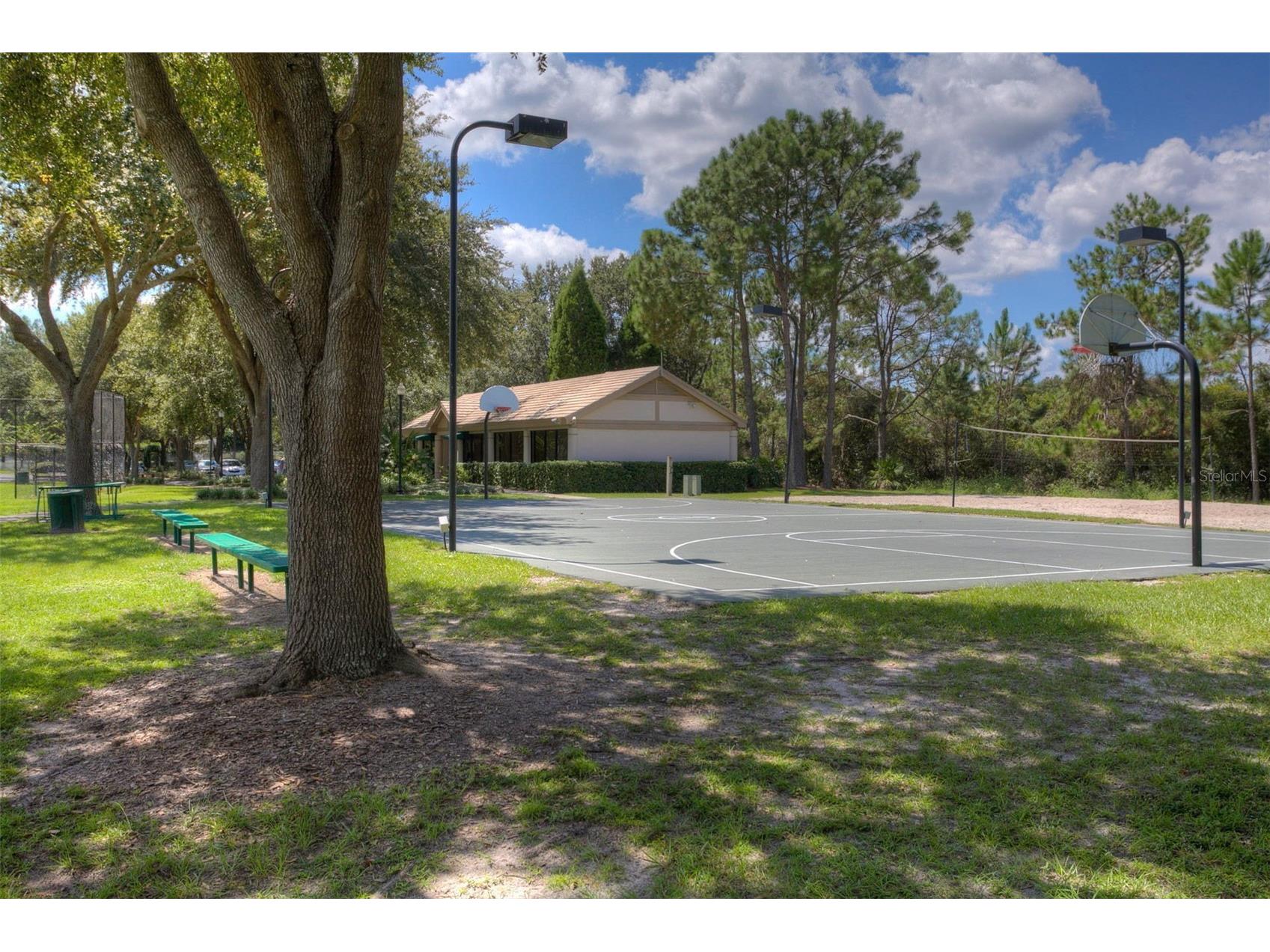 17721 Nathans Drive Tampa FL 33647 TB8514470 image43
