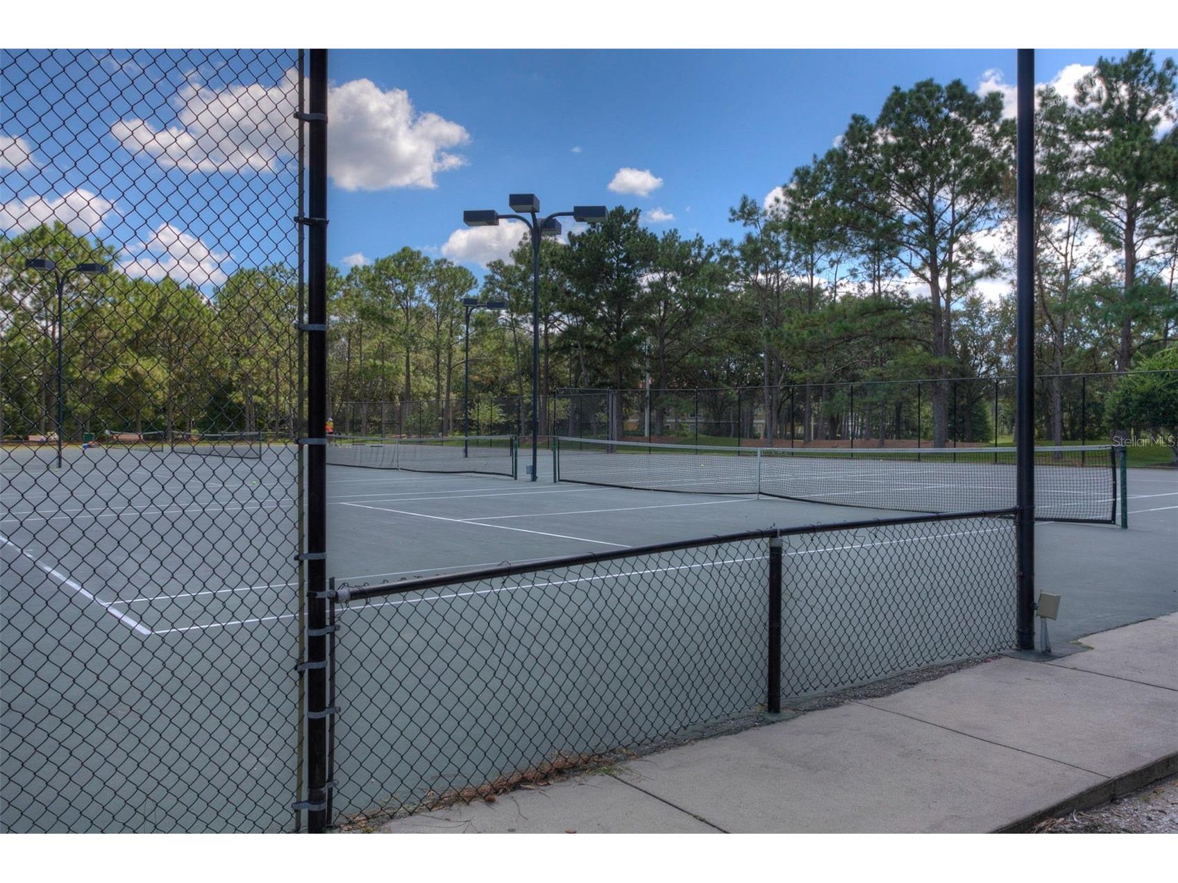 17721 Nathans Drive Tampa FL 33647 TB8514470 image46