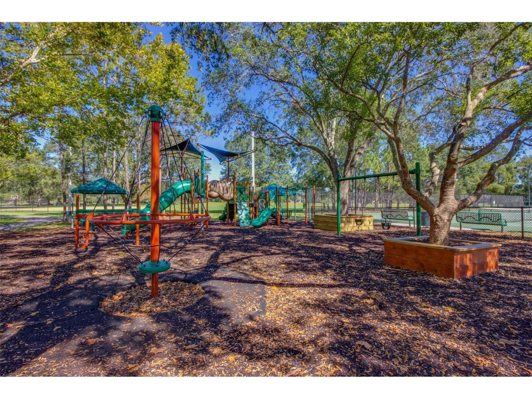 17721 Nathans Drive Tampa FL 33647 TB8514470 image47