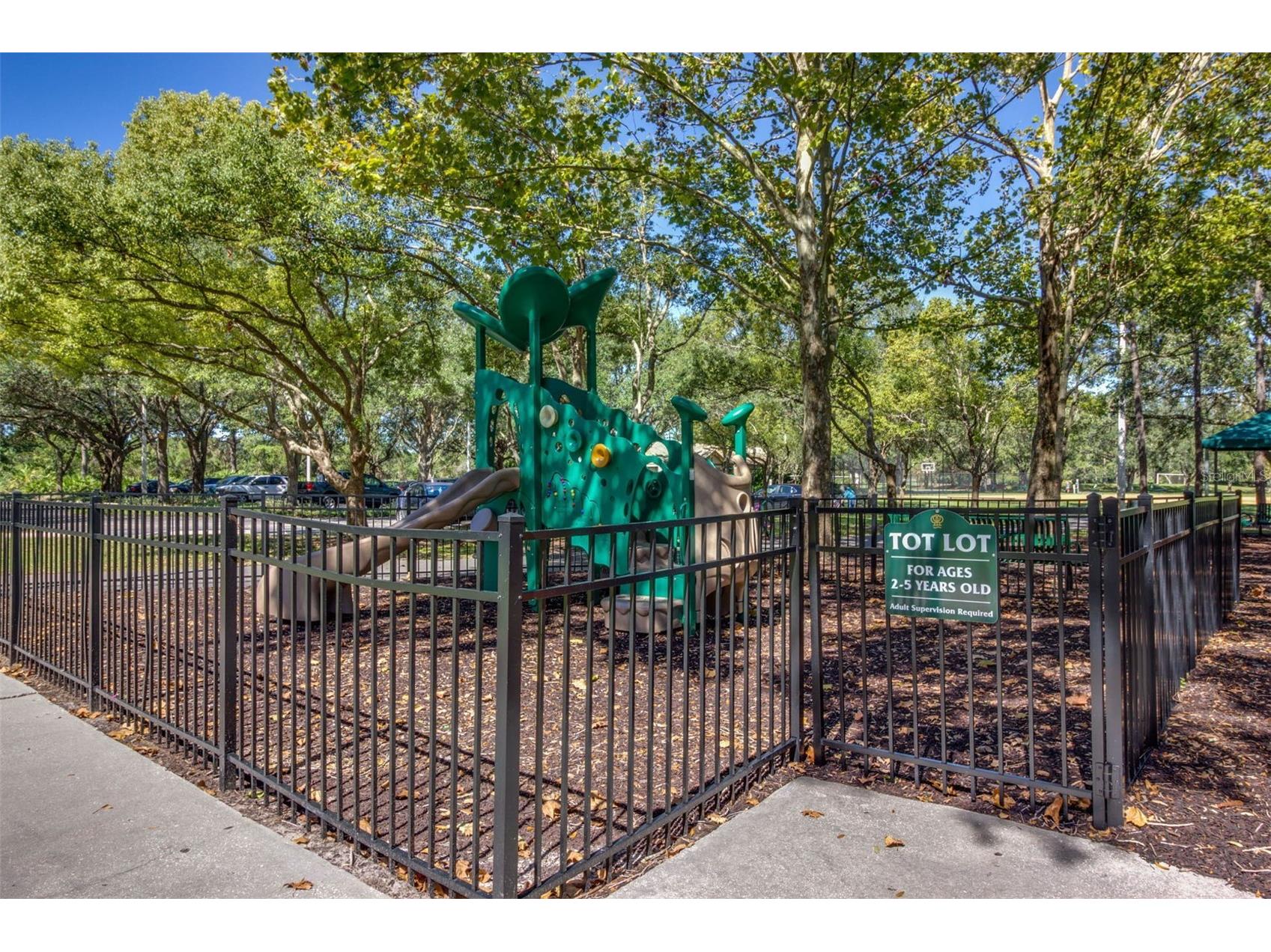 17721 Nathans Drive Tampa FL 33647 TB8514470 image48