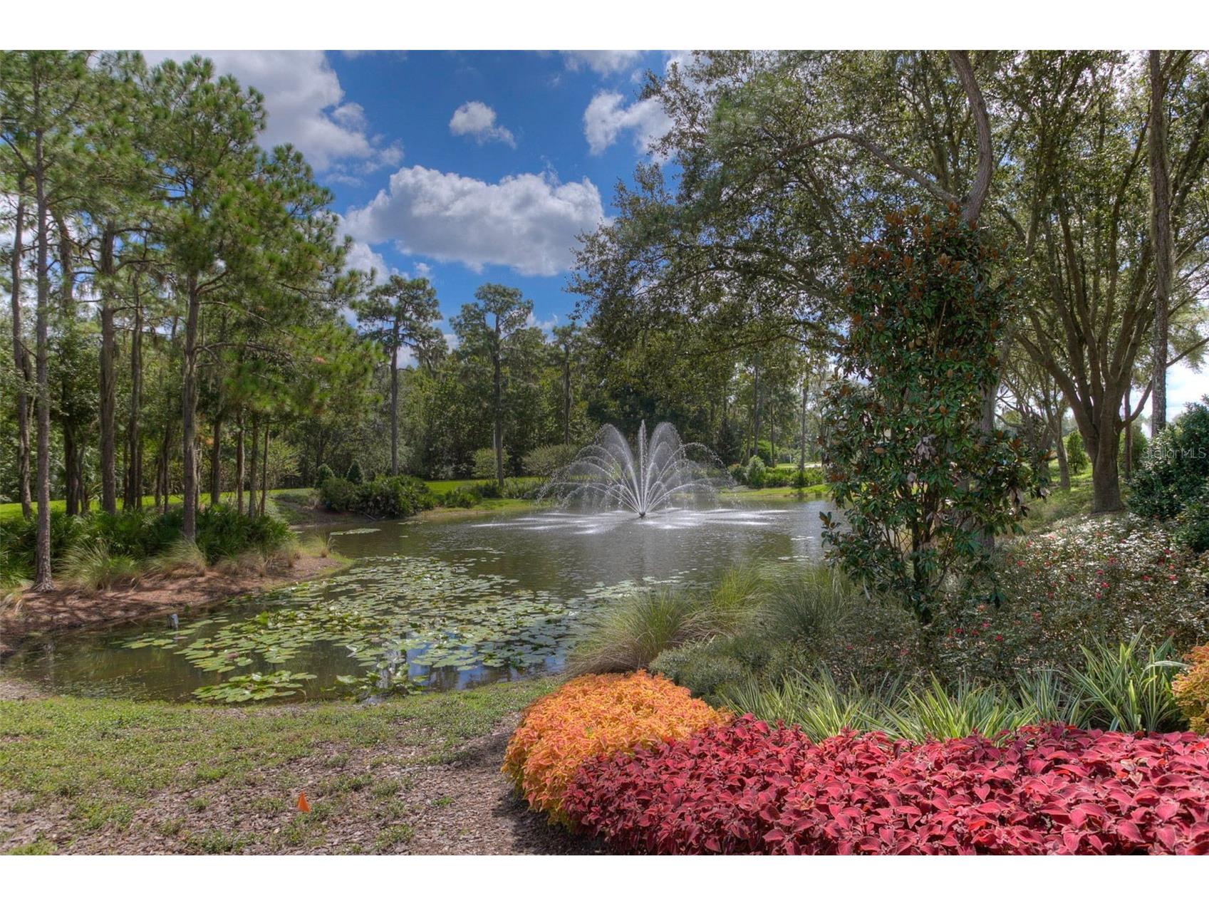 17721 Nathans Drive Tampa FL 33647 TB8514470 image51