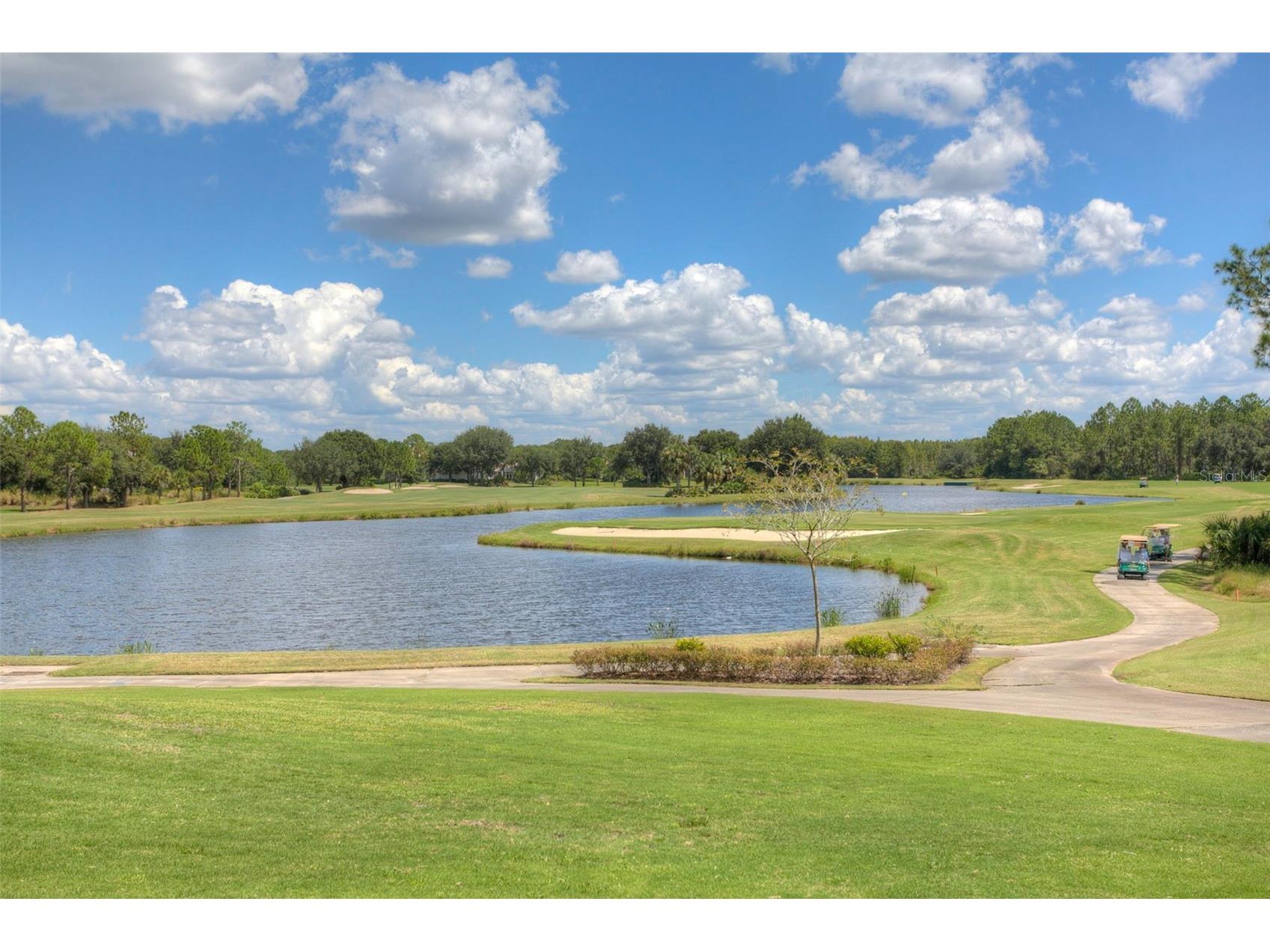 17721 Nathans Drive Tampa FL 33647 TB8514470 image54