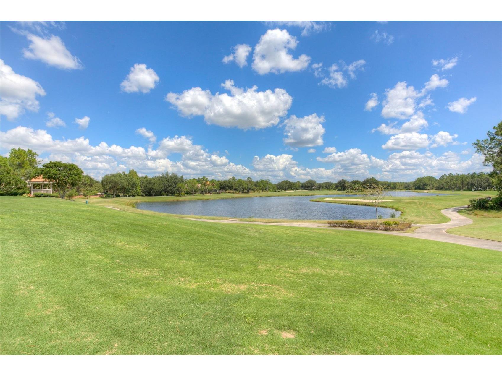 17721 Nathans Drive Tampa FL 33647 TB8514470 image55