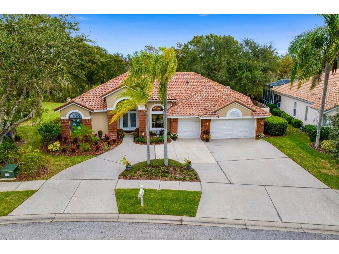 17722 Grey Eagle Road Tampa FL 33647 T3491924 image1