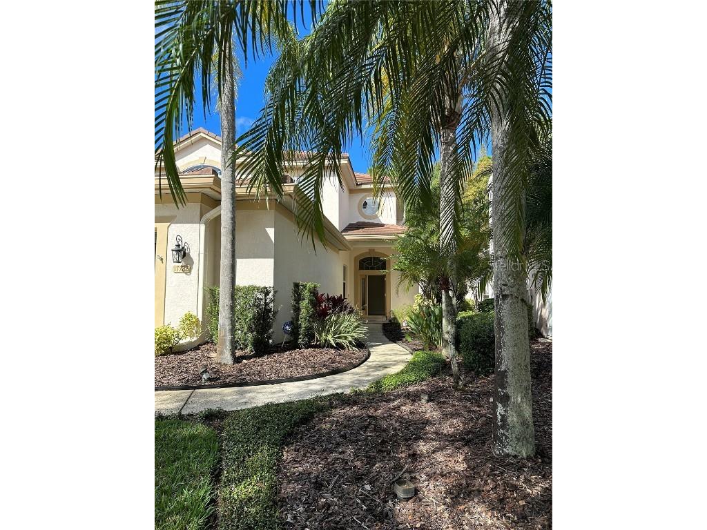 17722 Nathans Drive Tampa FL 33647 J968931 image1