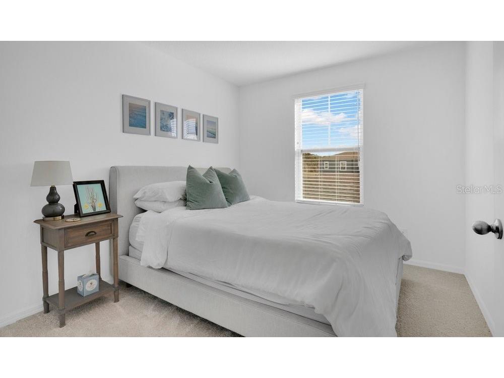 17723 Japonica Bloom Drive Winter Garden FL 34787 O6383994 image12