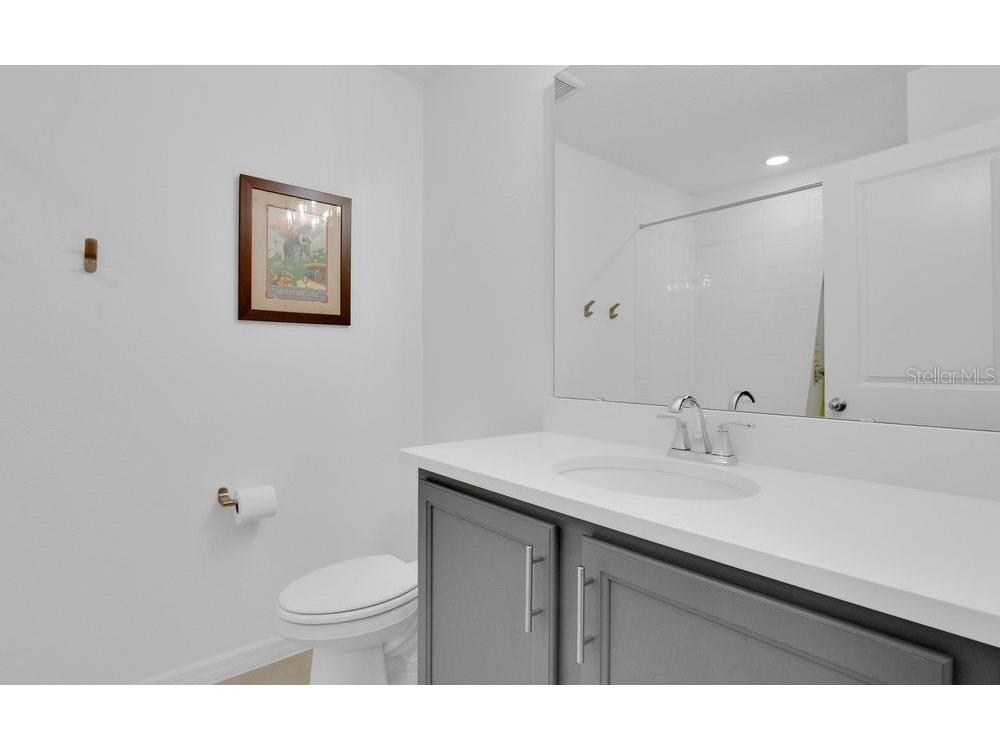 17723 Japonica Bloom Drive Winter Garden FL 34787 O6383994 image13