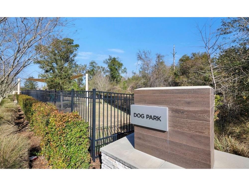 17723 Japonica Bloom Drive Winter Garden FL 34787 O6383994 image32