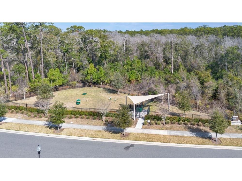 17723 Japonica Bloom Drive Winter Garden FL 34787 O6383994 image33