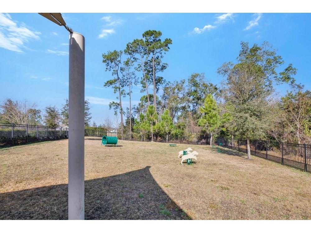 17723 Japonica Bloom Drive Winter Garden FL 34787 O6383994 image34