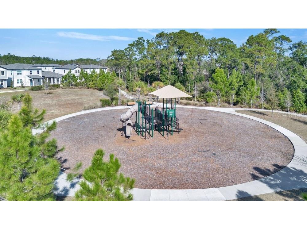 17723 Japonica Bloom Drive Winter Garden FL 34787 O6383994 image35