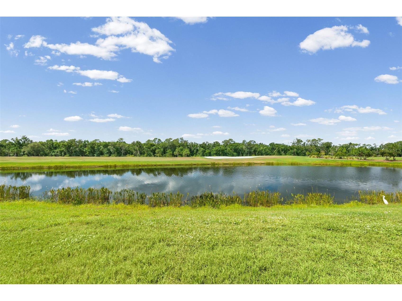 17724 Gawthrop Drive #103 Bradenton FL 34211 A4693535 image3