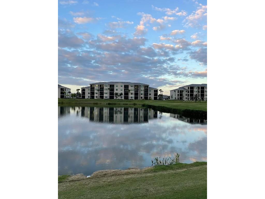 17724 Gawthrop Drive #204 Bradenton FL 34211 - BRADEN RIVER TB8422342 image44