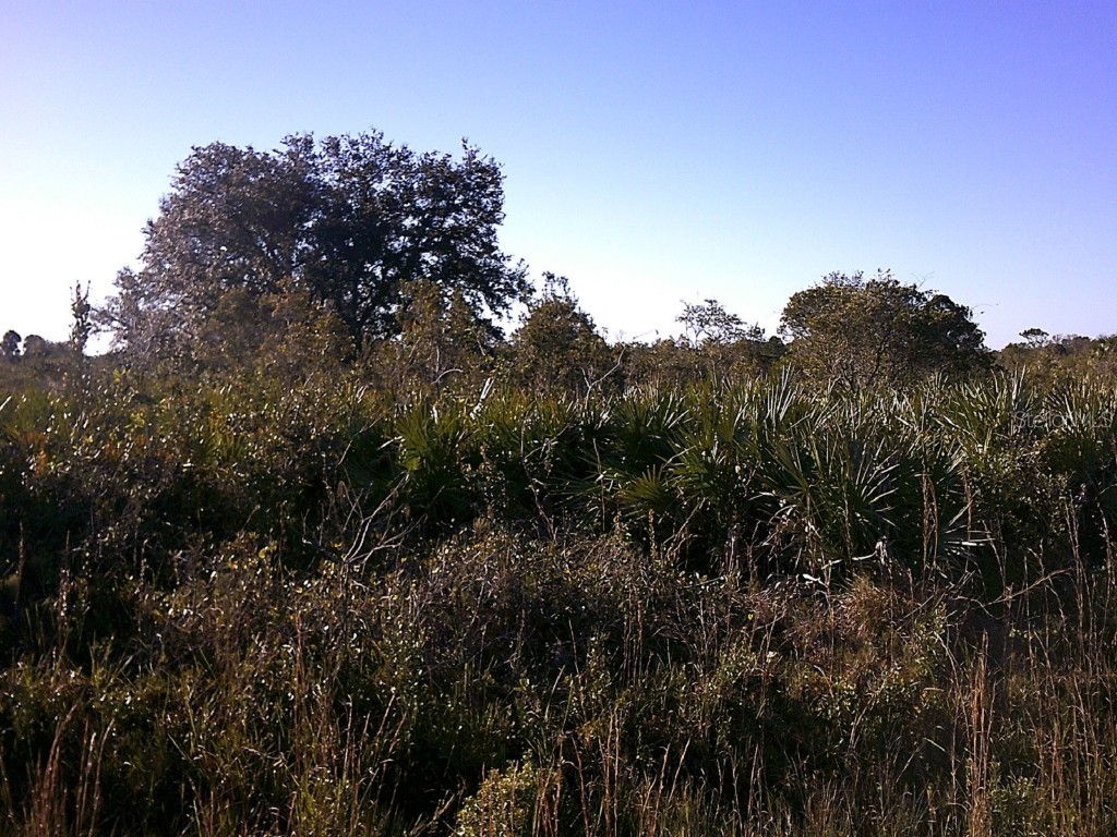 17724 NW 272nd Street Okeechobee FL 34972 OK222278 image1